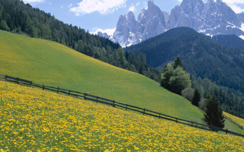 Ubuntu 16 启用 root 登录