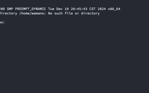 飞牛nas如何获取root权限