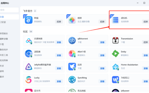 飞牛 NAS 虚拟机开启iommu硬件直通