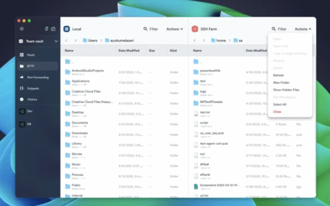 Termius 9.21.2 开心版 (SSH连接客户端)