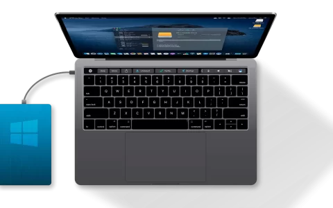 Paragon NTFS for Mac 15 中文开心版 (mac读写ntfs磁盘工具)