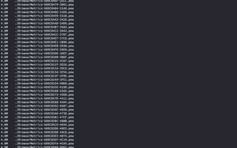 黑群DSM7.2安装Surveillance Station磁盘占用空间非常大